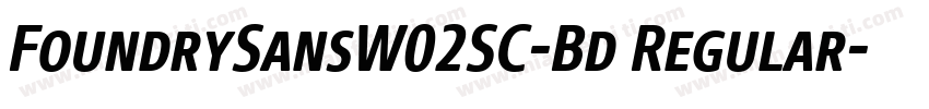 FoundrySansW02SC-Bd Regular字体转换